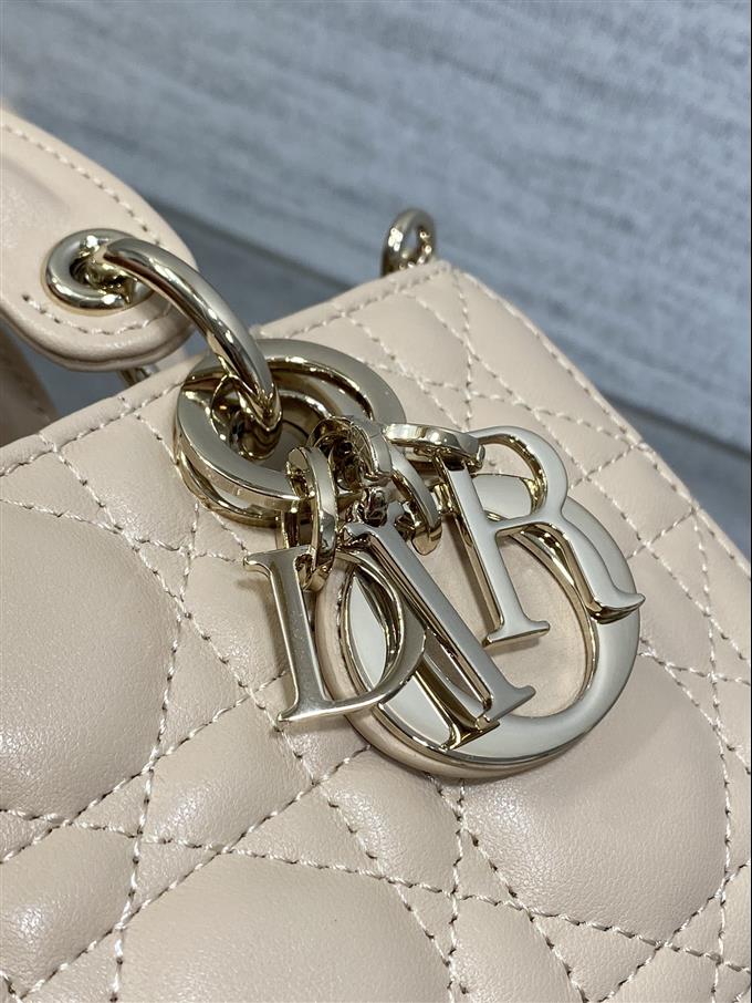 2025228Y620P212523401