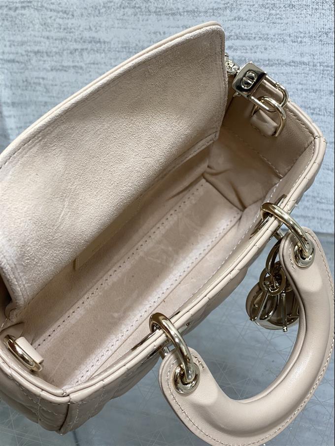 2025228Y620P212523478