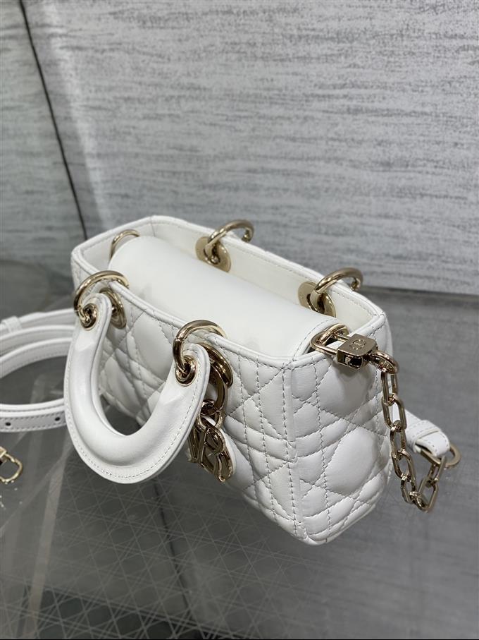 2025228Y620P212523588