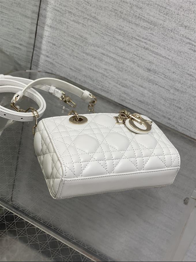 2025228Y620P212523603