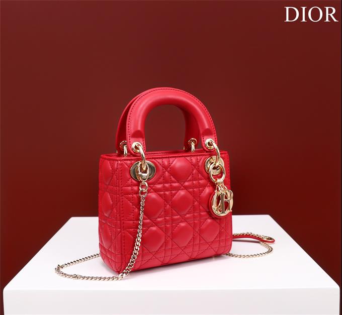 2025228Y650P205617917