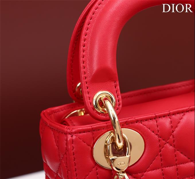 2025228Y650P205617995