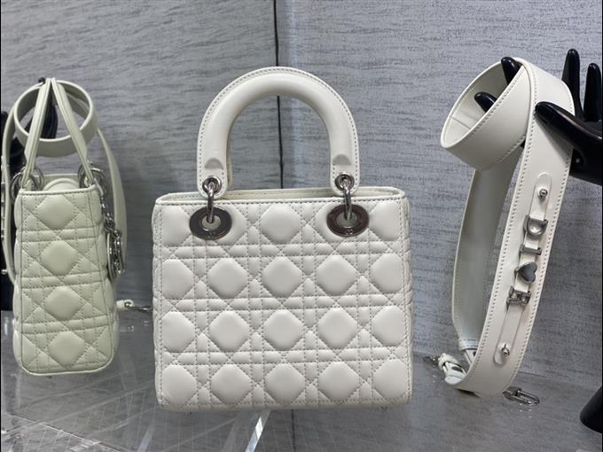 2025228Y680P205623673