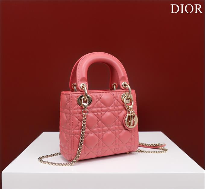 2025228Y700P205625485