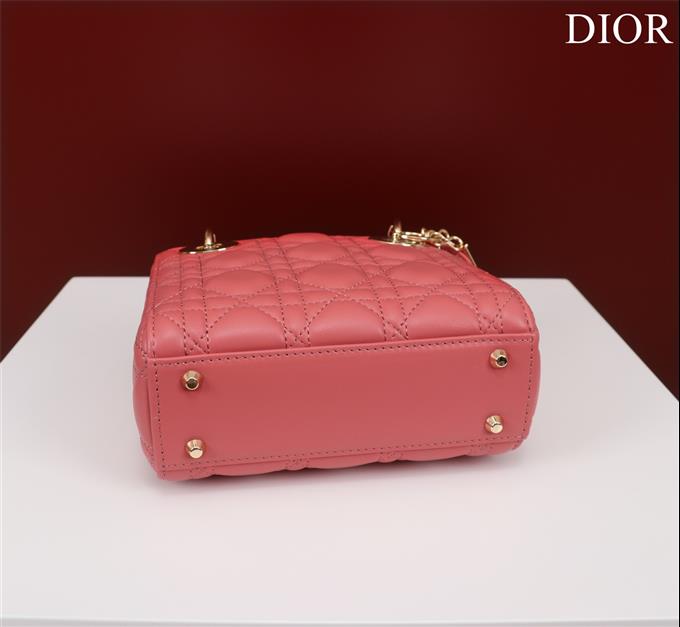 2025228Y700P205625515