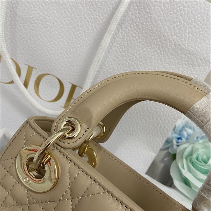 2025228Y700P205627436