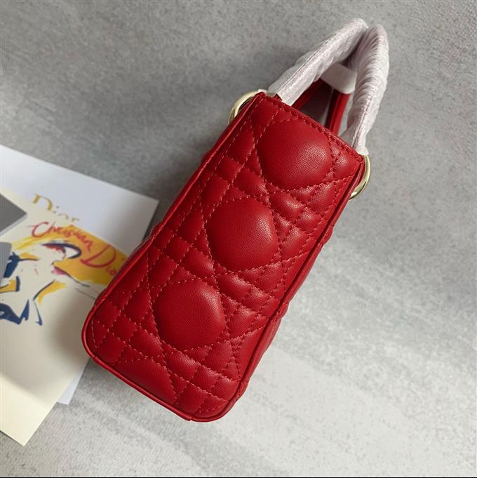 2025228Y700P205627611