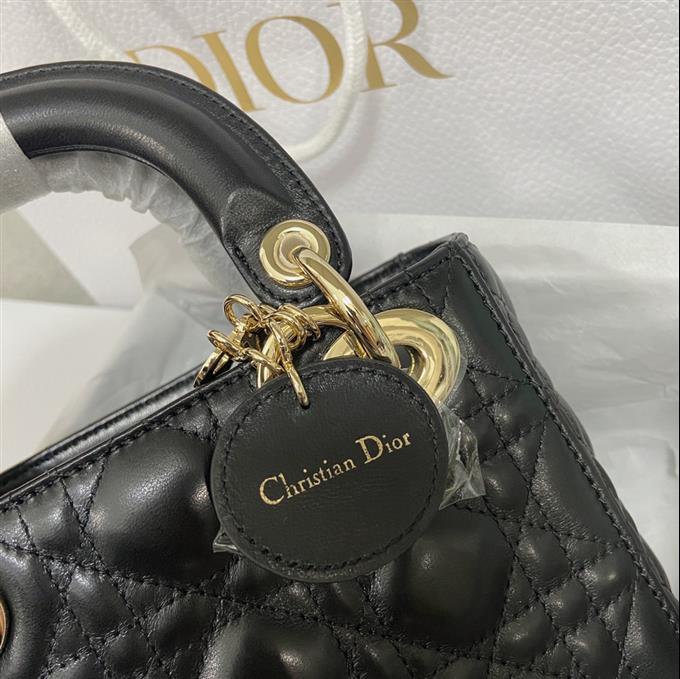 2025228Y700P205627861