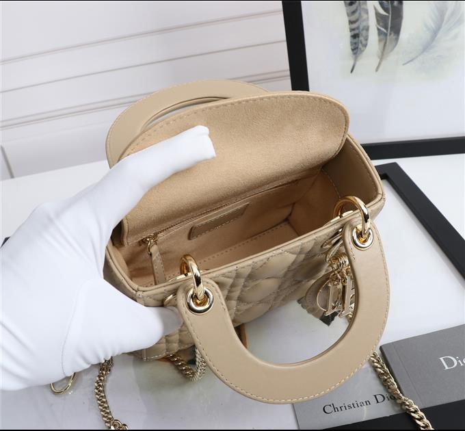 2025228Y700P22130593