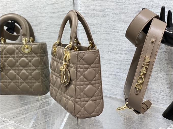 2025228Y750P20563044