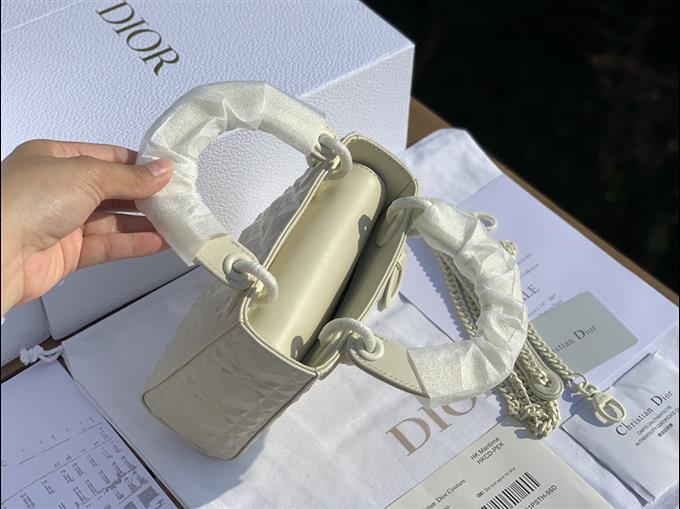 2025228Y900P205546229