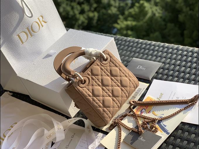 2025228Y900P205546277