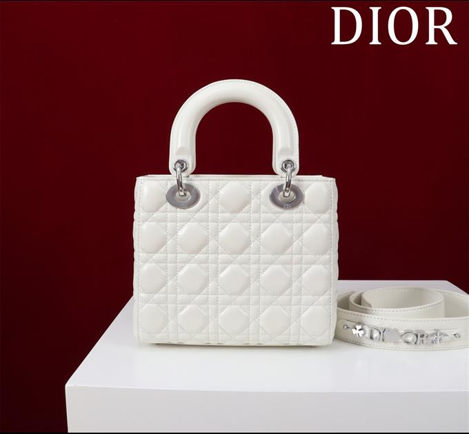 2025228Y650P211544442