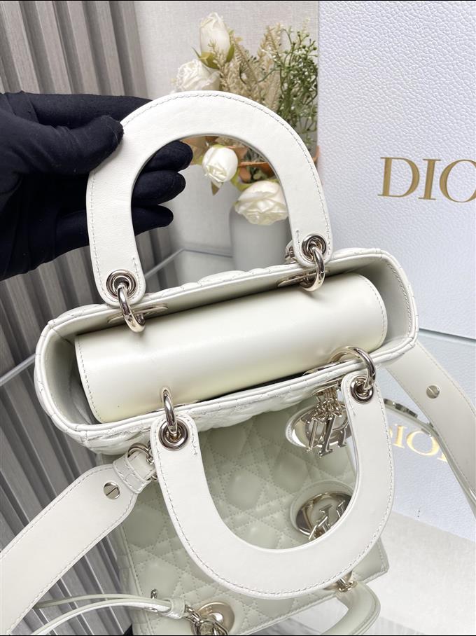 2025228Y650P211550212