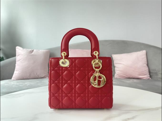 2025228Y650P211551955