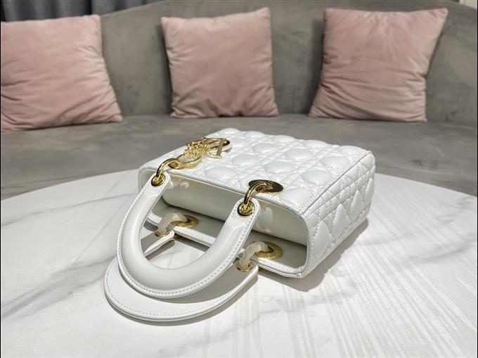 2025228Y650P211552444