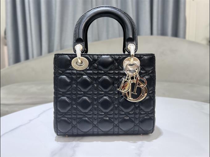 2025228Y650P211552536