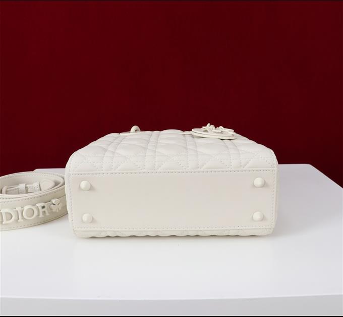 2025228Y700P211610538