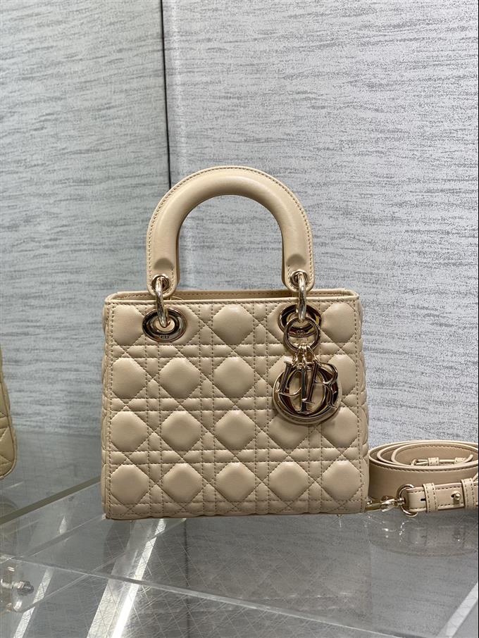 2025228Y700P211611212