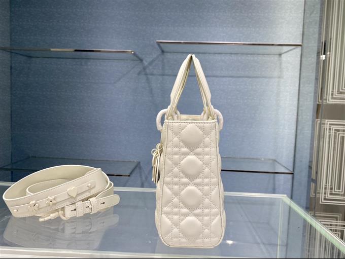 2025228Y700P211612646