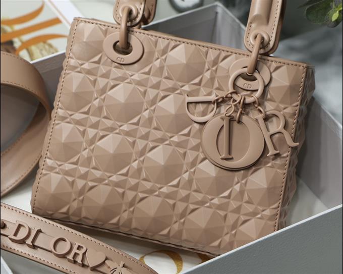 2025228Y700P222458703