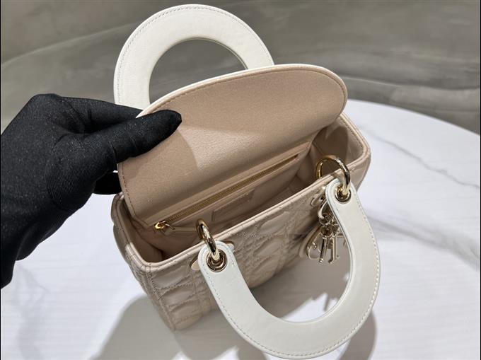 2025228Y750P21161520