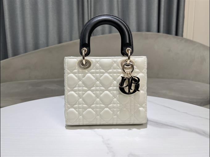 2025228Y750P211615209