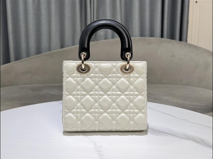 2025228Y750P211615225