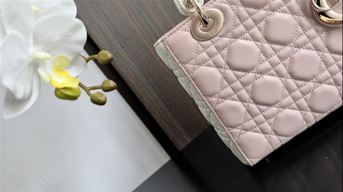 2025228Y750P211615526