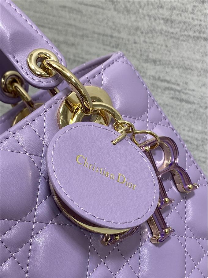 2025228Y800P211544726