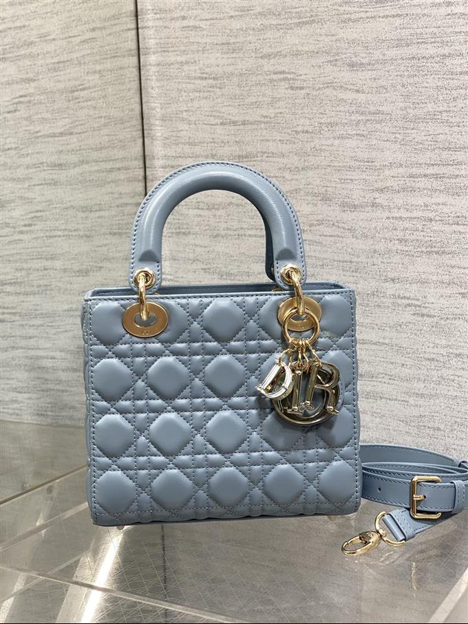 2025228Y800P211544836