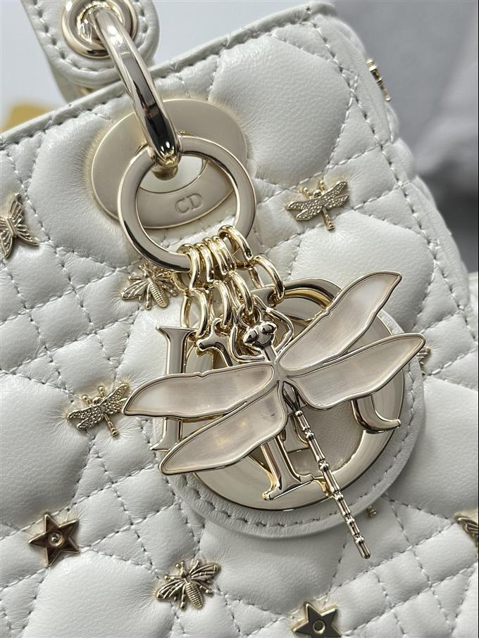 2025228Y920P211616831