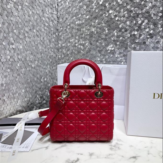 2025228Y700P205721868