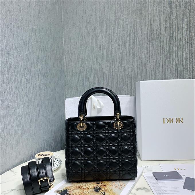 2025228Y700P205722356