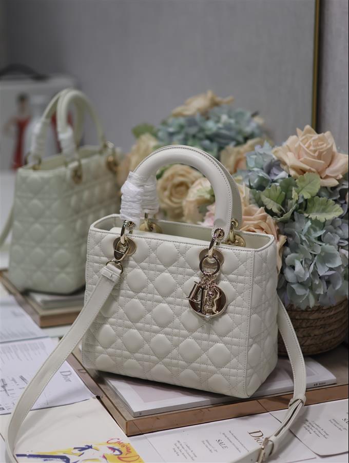 2025228Y700P211342270