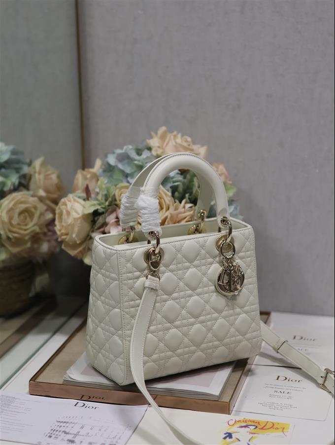 2025228Y700P211342286