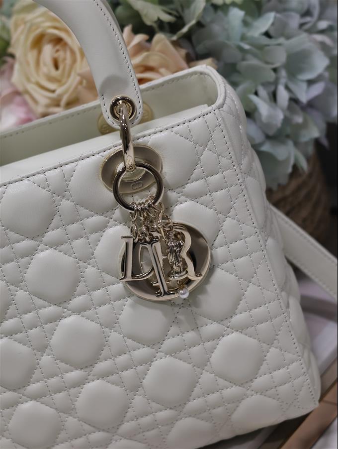 2025228Y700P211342301