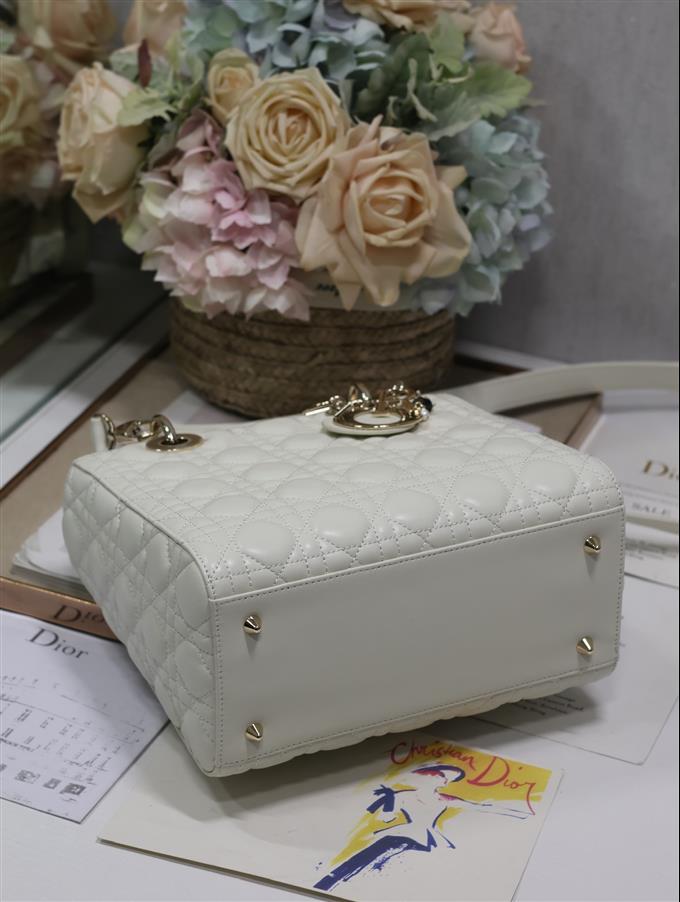 2025228Y700P211342364