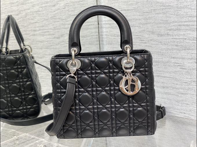 2025228Y700P211342412