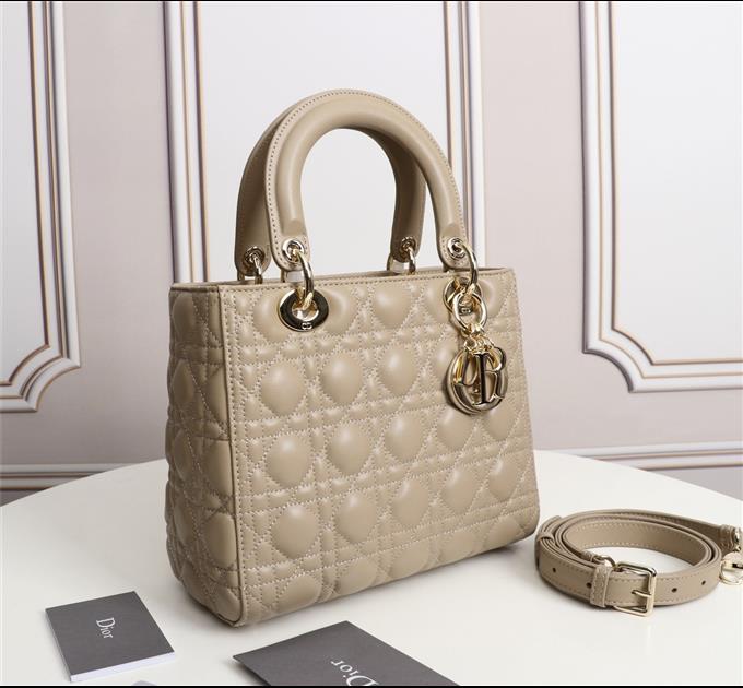 2025228Y700P211348646