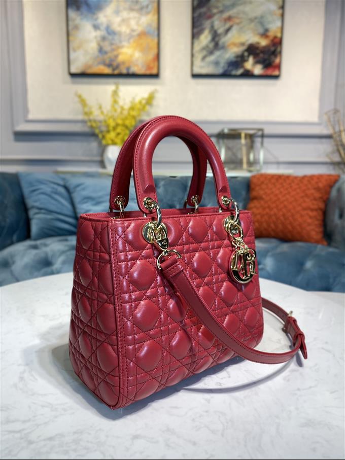 2025228Y700P211350170