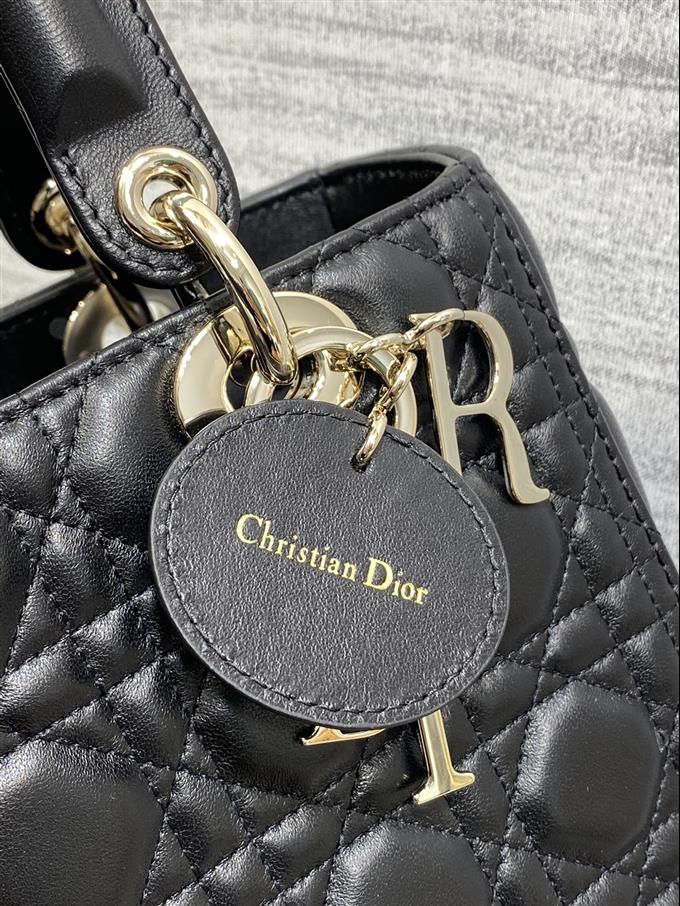 2025228Y700P211351103