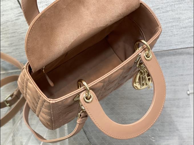 2025228Y700P211358355