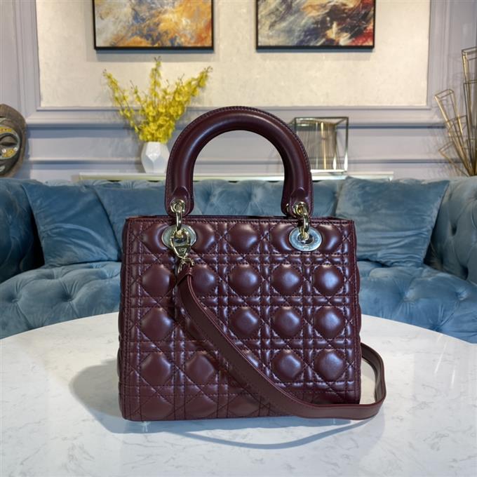 2025228Y700P212555188