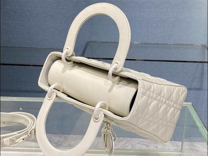 2025228Y750P222255199