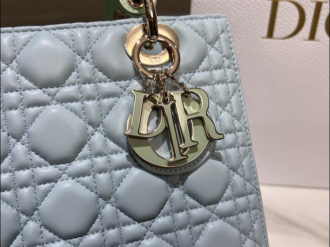 2025228Y800P205724219