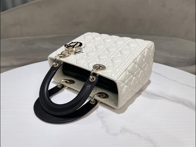 2025228Y800P205724391