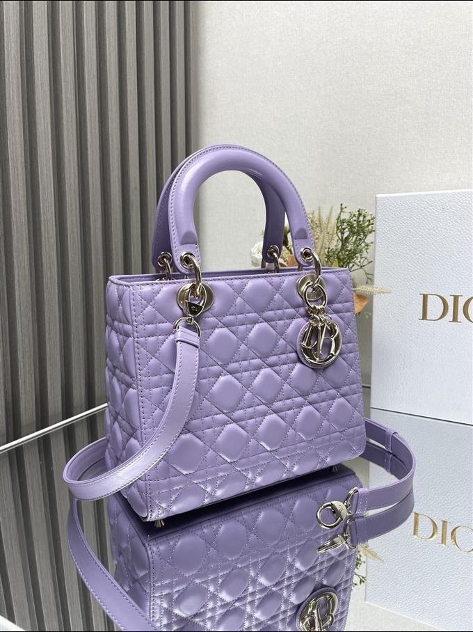 2025228Y800P211355179