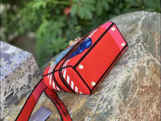 2025228Y900P222254447