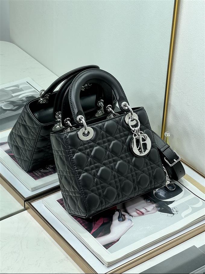 2025228Y650P222550233